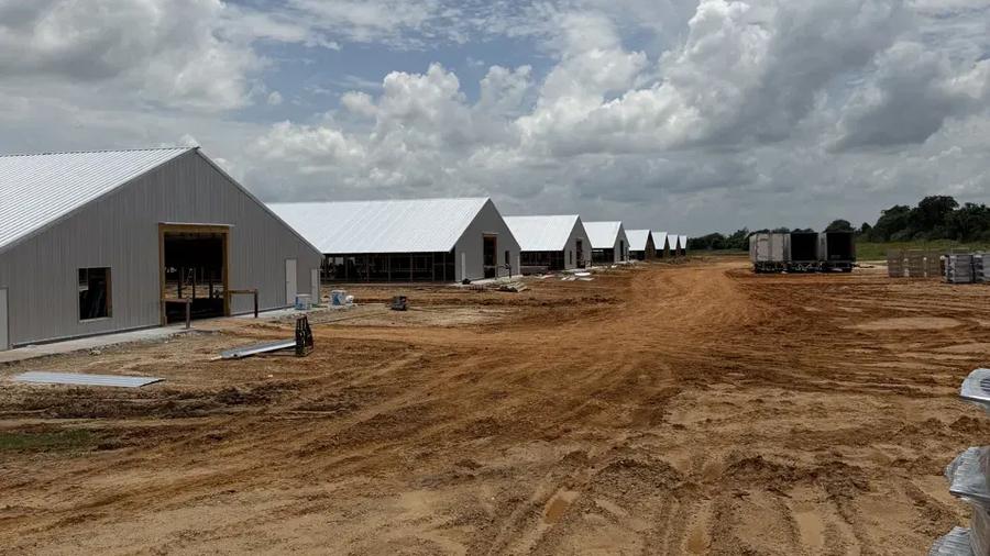 poultry house construction, dirt work and new houses going up on a fresh pad