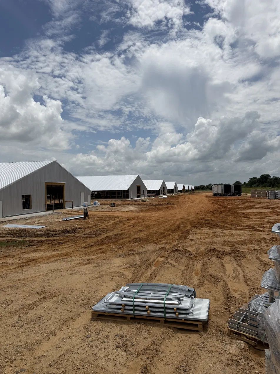poultry house construction, framed structure mid-build under a big sky