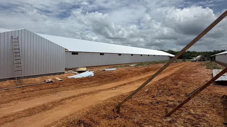 poultry house construction next to an operating house, the builders risk to farm property transition