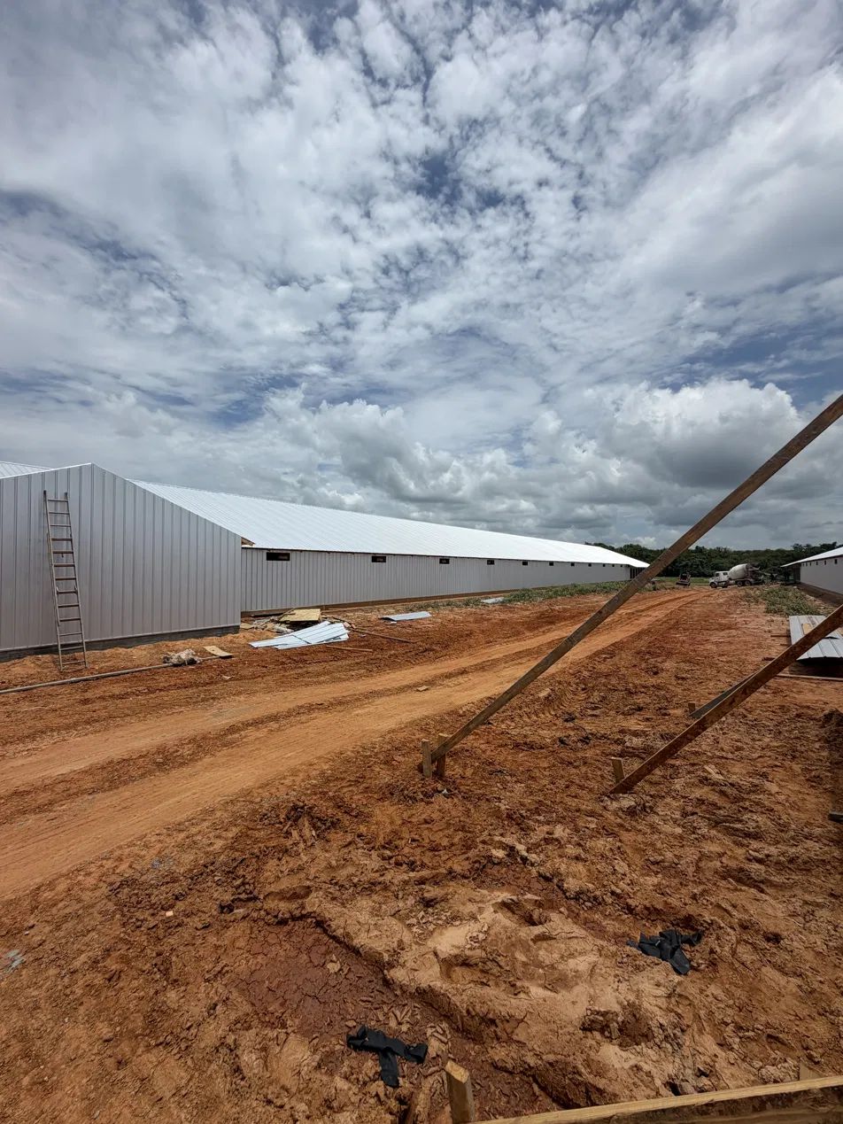 poultry house construction, pad and framing beside a completed house