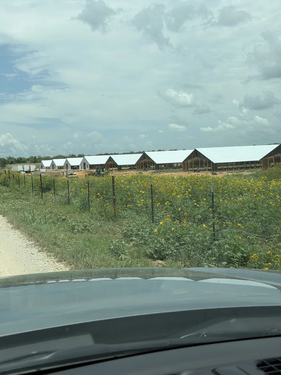 poultry house exterior, wildflowers along the fence line of a completed farm