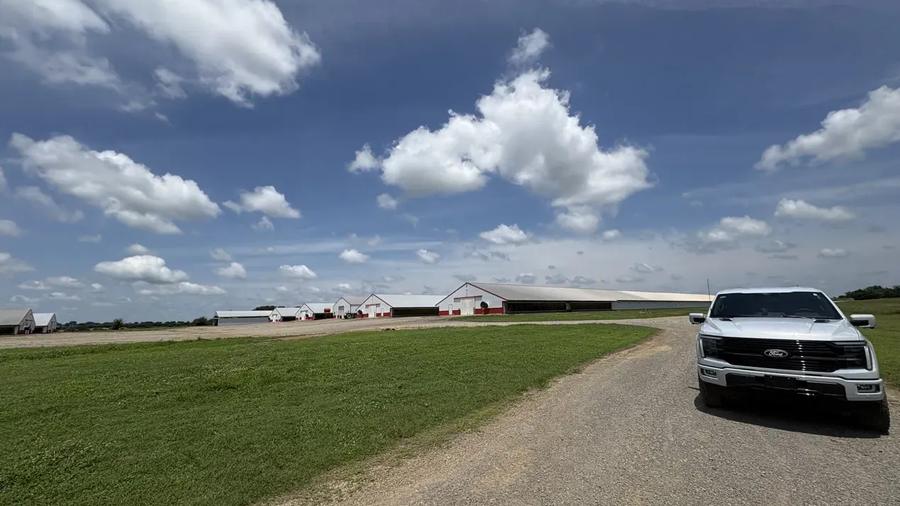 poultry house exterior, farm drive with pickup truck arriving for a site visit