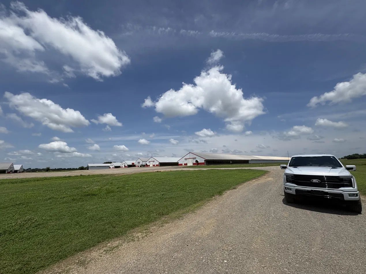 poultry house exterior, farm truck at the gate on a site visit