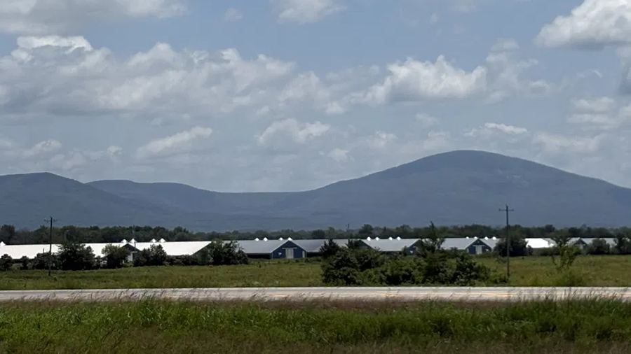 poultry house exterior, farm with hills behind in southwest Missouri country