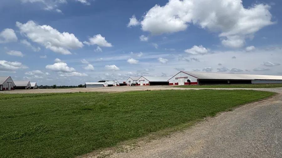 poultry house exterior, established broiler farm in east Texas style country