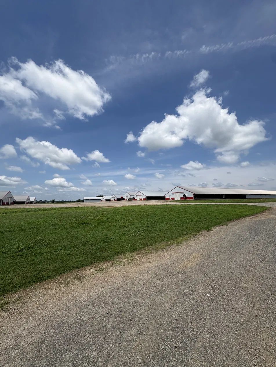 poultry house exterior, established farm with older houses against the mountains